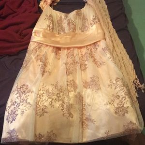 Champagne sparkly dress, plus size (22) from DEB